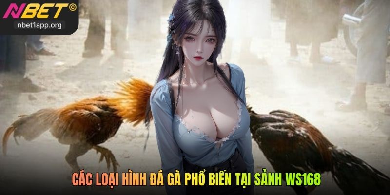 Các loại hình đá gà phổ biến tại sảnh WS168