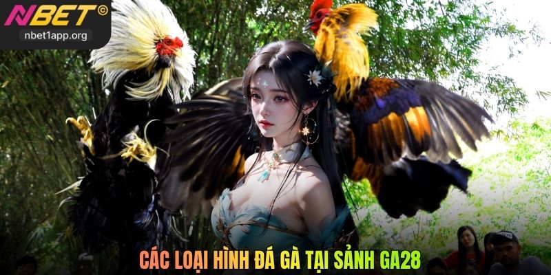 Các loại hình đá gà tại sảnh GA28