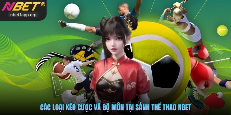 Các loại kèo cược và bộ môn tại sảnh thể thao Nbet