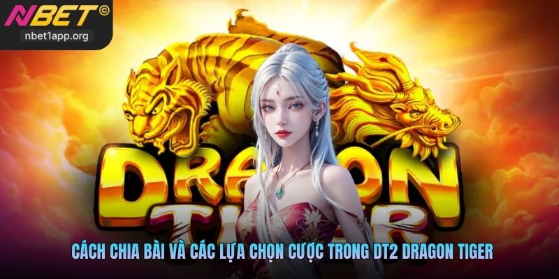 Cách chia bài và các lựa chọn cược trong DT2 Dragon Tiger