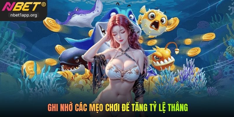 Ghi nhớ các mẹo chơi để tăng tỷ lệ thắng