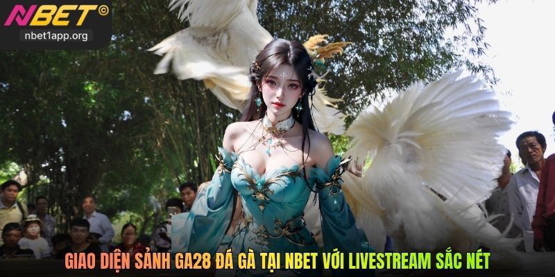 Giao diện sảnh GA28 đá gà tại Nbet với livestream sắc nét