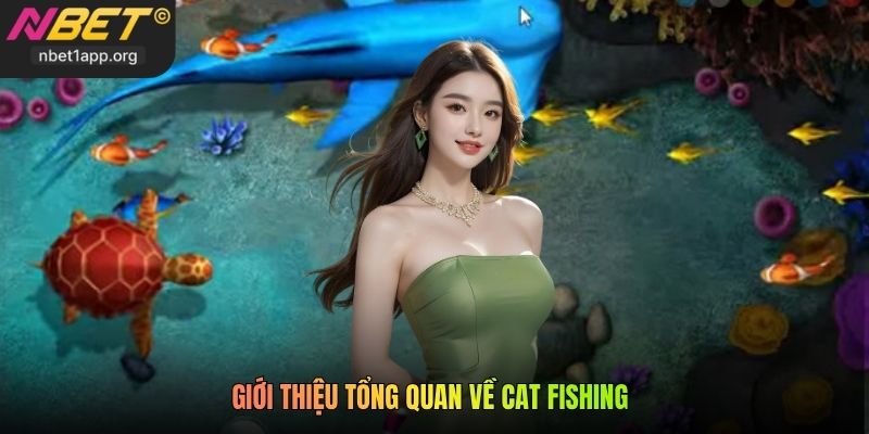 Giới thiệu tổng quan về Cat Fishing