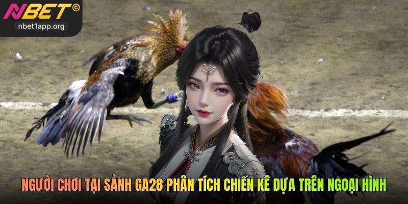Người chơi tại sảnh GA28 phân tích chiến kê dựa trên ngoại hình