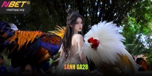Sảnh GA28 Nbet - Trải Nghiệm Đá Gà Đỉnh Cao Trực Tuyến