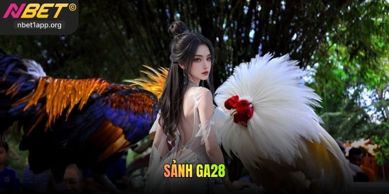 Sảnh GA28 Nbet - Trải Nghiệm Đá Gà Đỉnh Cao Trực Tuyến