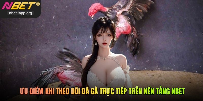 Ưu điểm khi theo dõi đá gà trực tiếp trên nền tảng Nbet